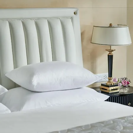 Hotel Savoy Baur En Curych